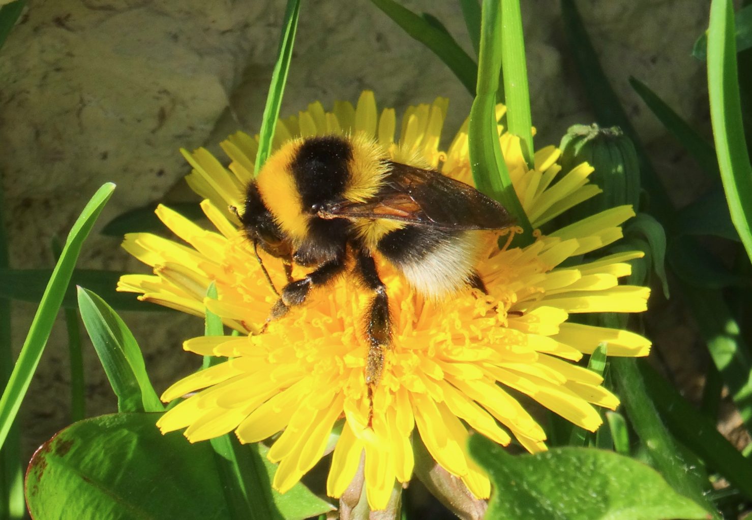 Valokuvaaja: Liisa Niiva-Korpela