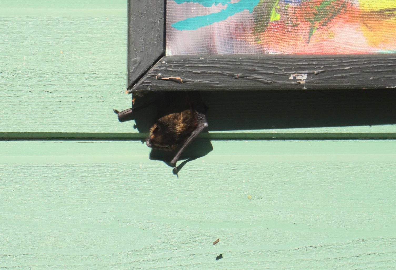 Valokuvaaja: Liisa Niiva-Korpela