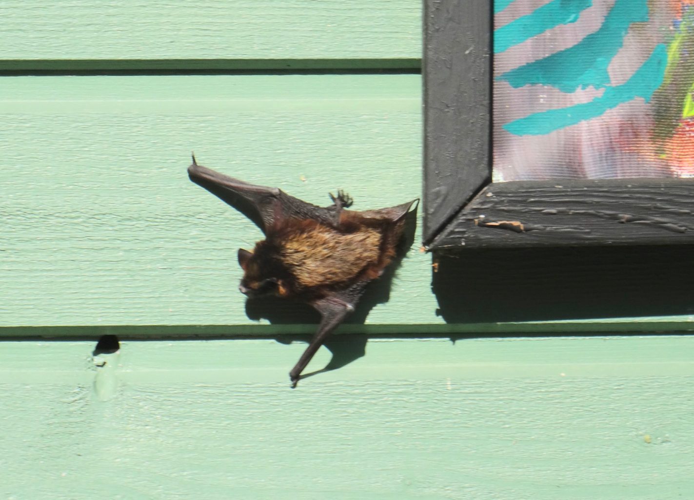 Valokuvaaja: Liisa Niiva-Korpela