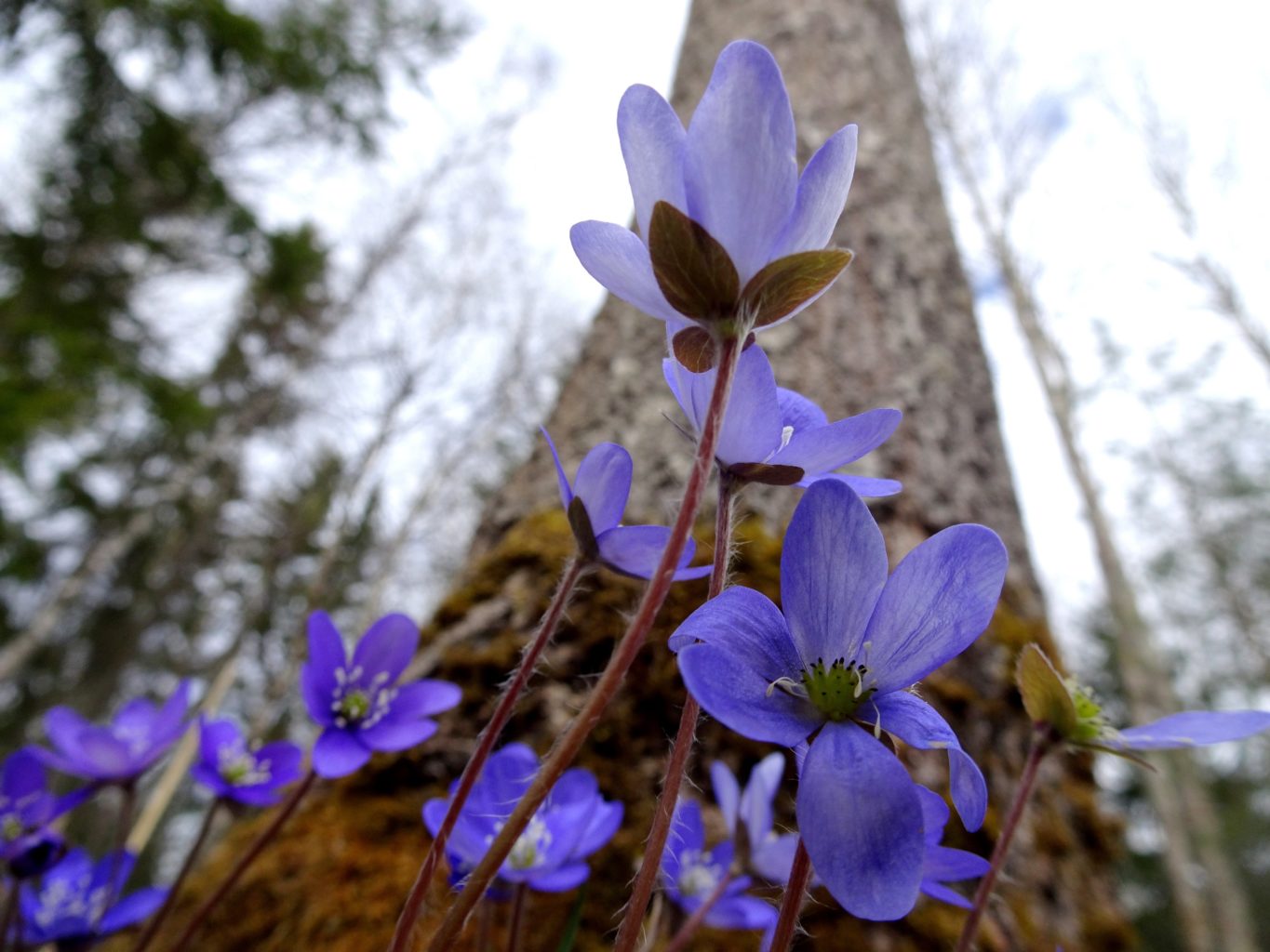 Valokuvaaja: Irja lehtinen