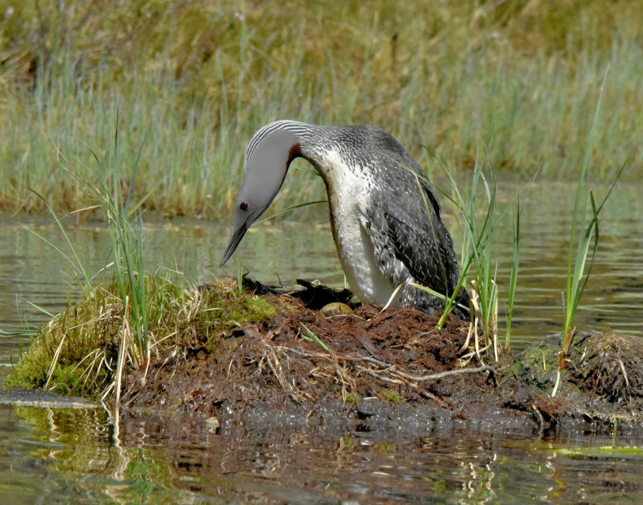 Valokuvaaja: Reijo Juurinen