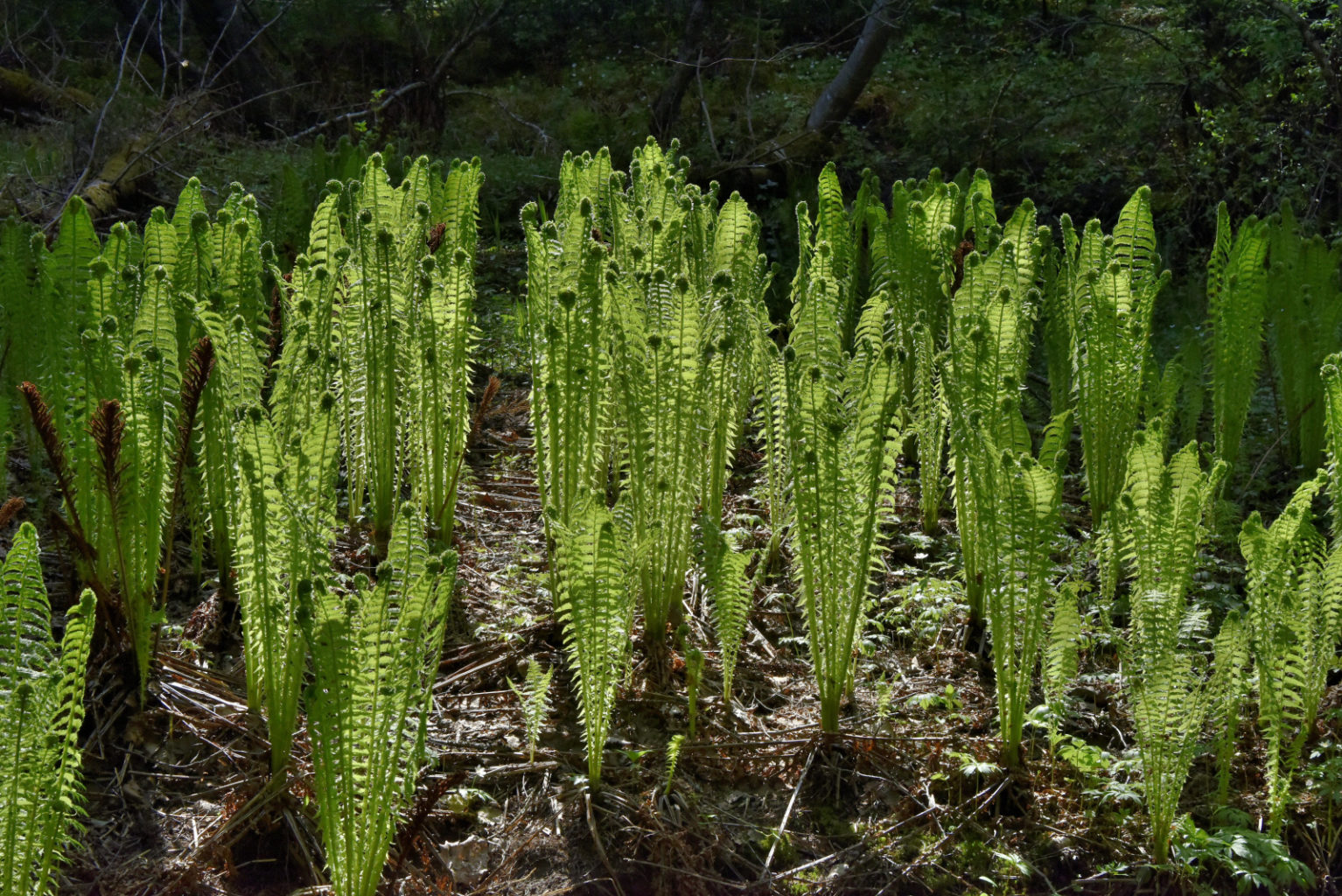 Valokuvaaja: Reijo Juurinen Valokuvaaja: Reijo Juurinen