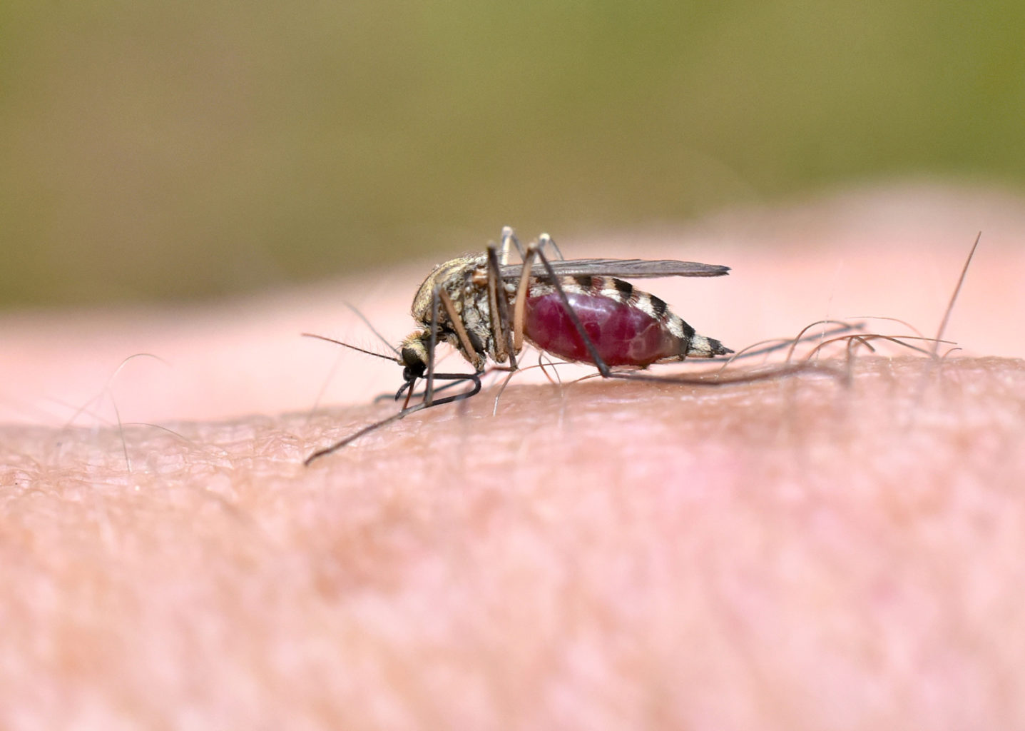Valokuvaaja: Reijo Juurinen