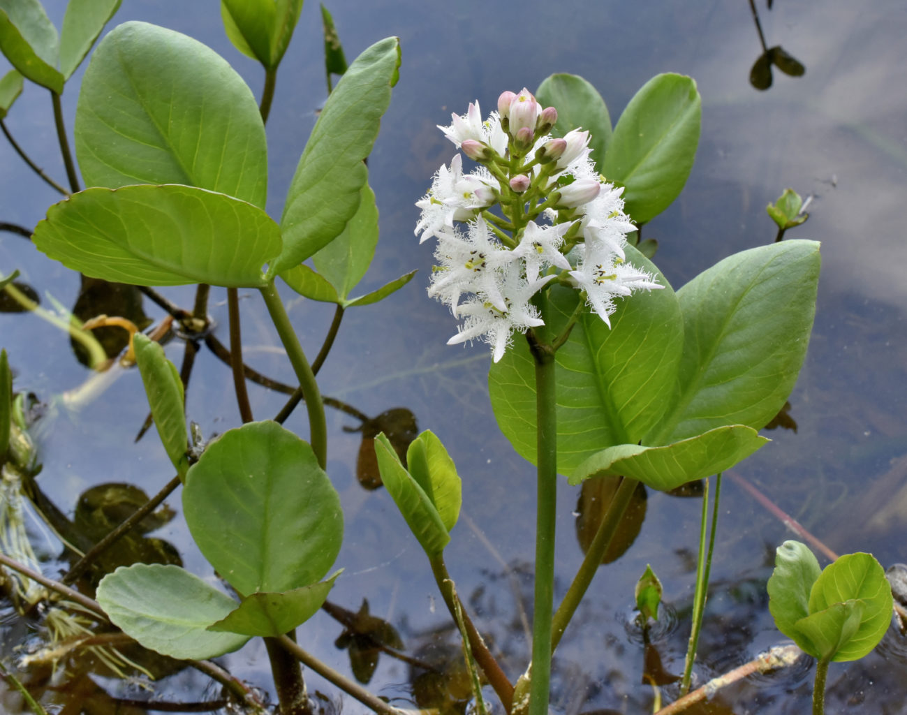 Valokuvaaja: Reijo Juurinen