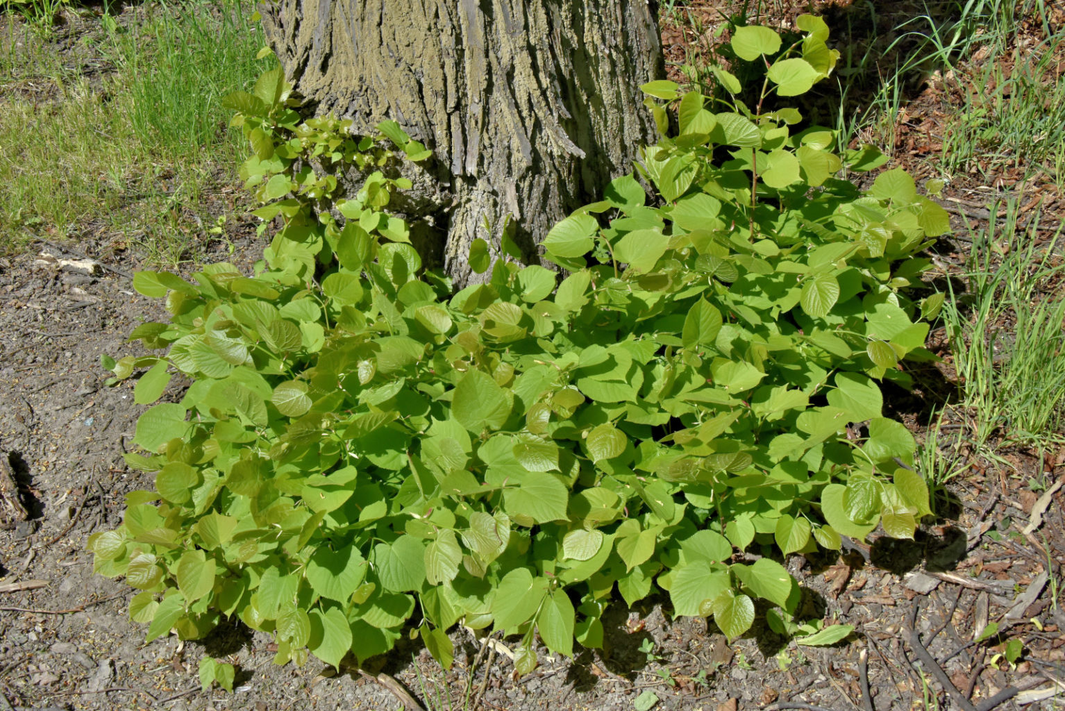 Valokuvaaja: Reijo Juurinen