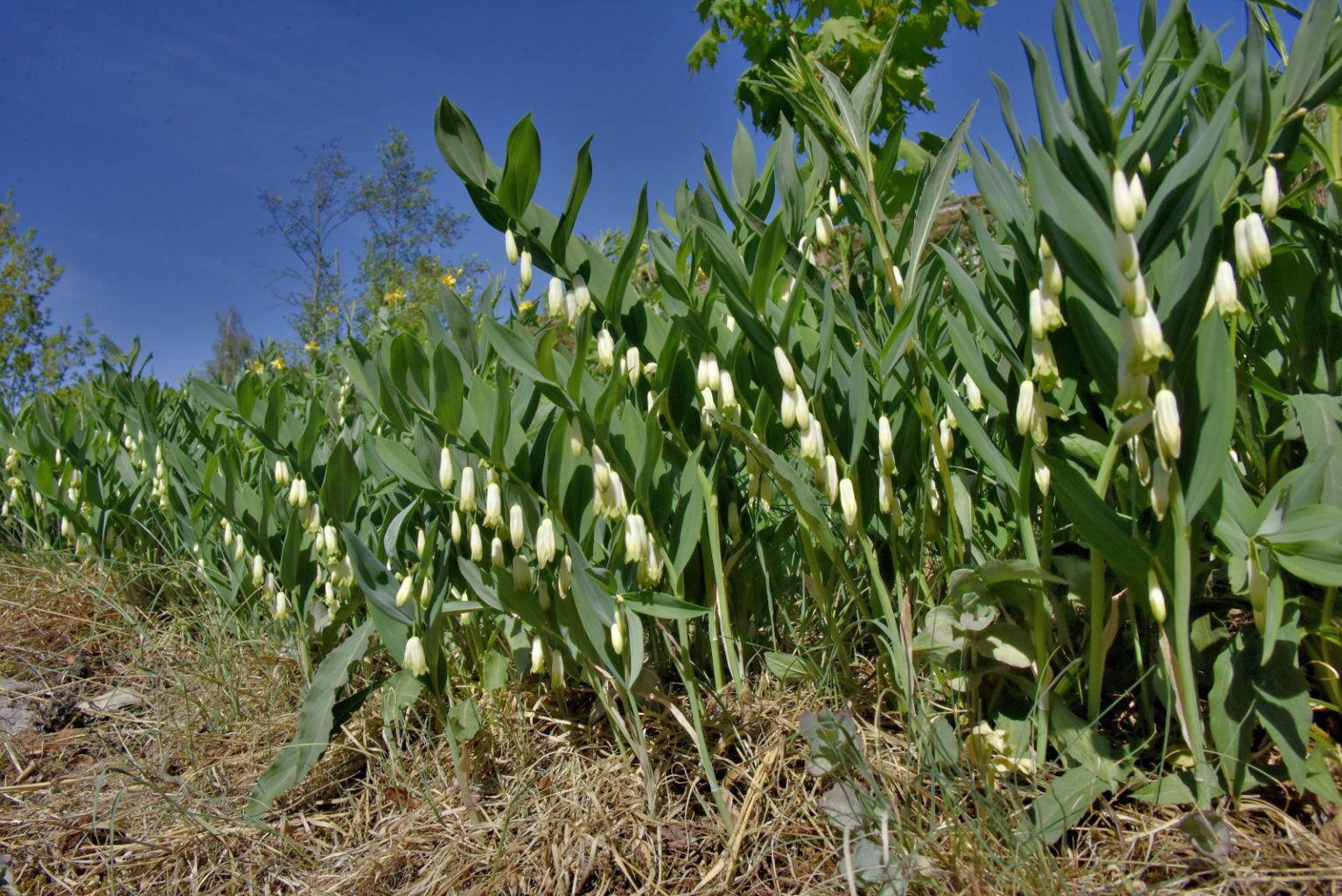 Valokuvaaja: Reijo Juurinen