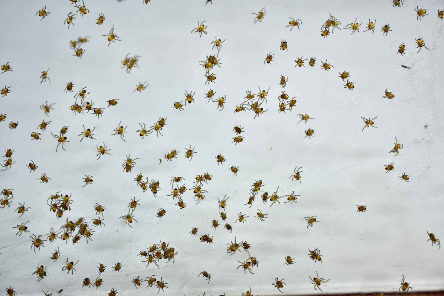 Valokuvaaja: Reijo Juurinen