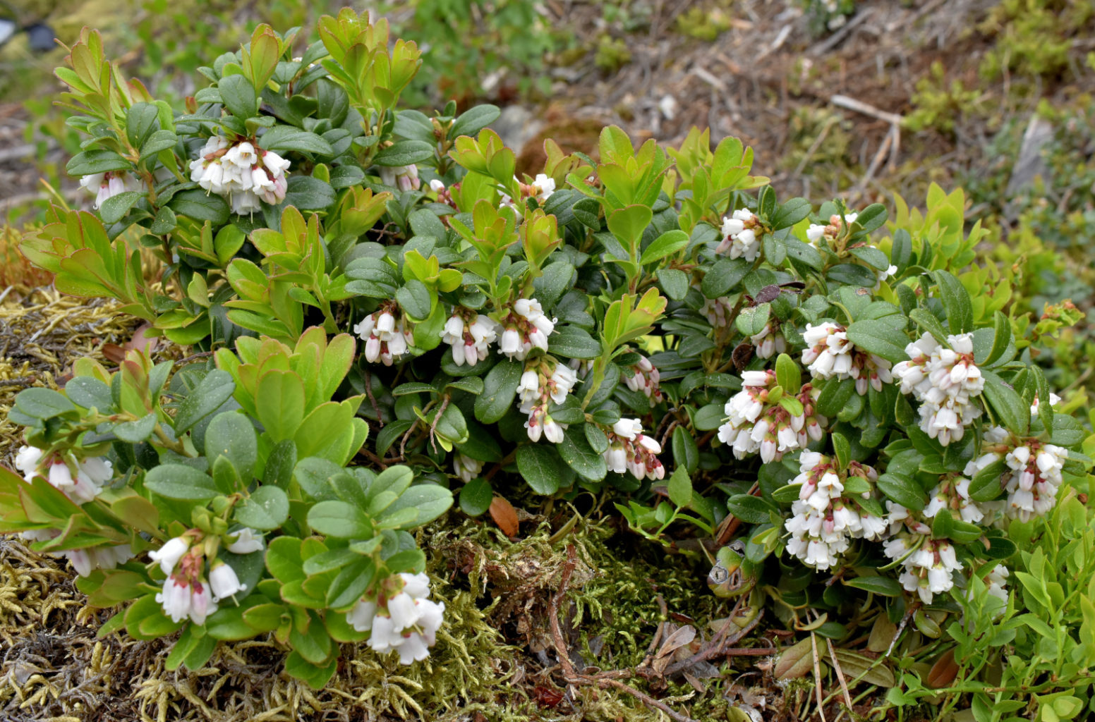 Valokuvaaja: Reijo Juurinen