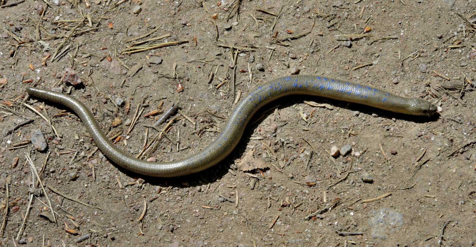 Valokuvaaja: Reijo Juurinen