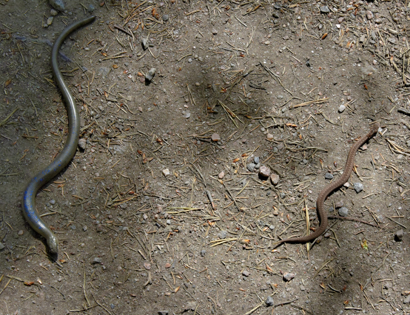 Valokuvaaja: Reijo Juurinen