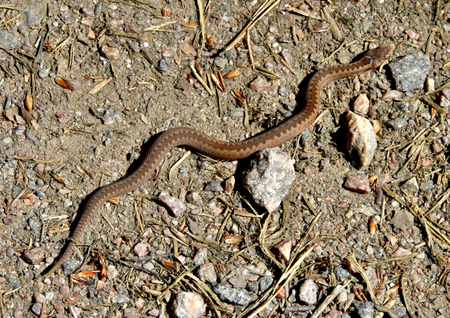 Valokuvaaja: Reijo Juurinen