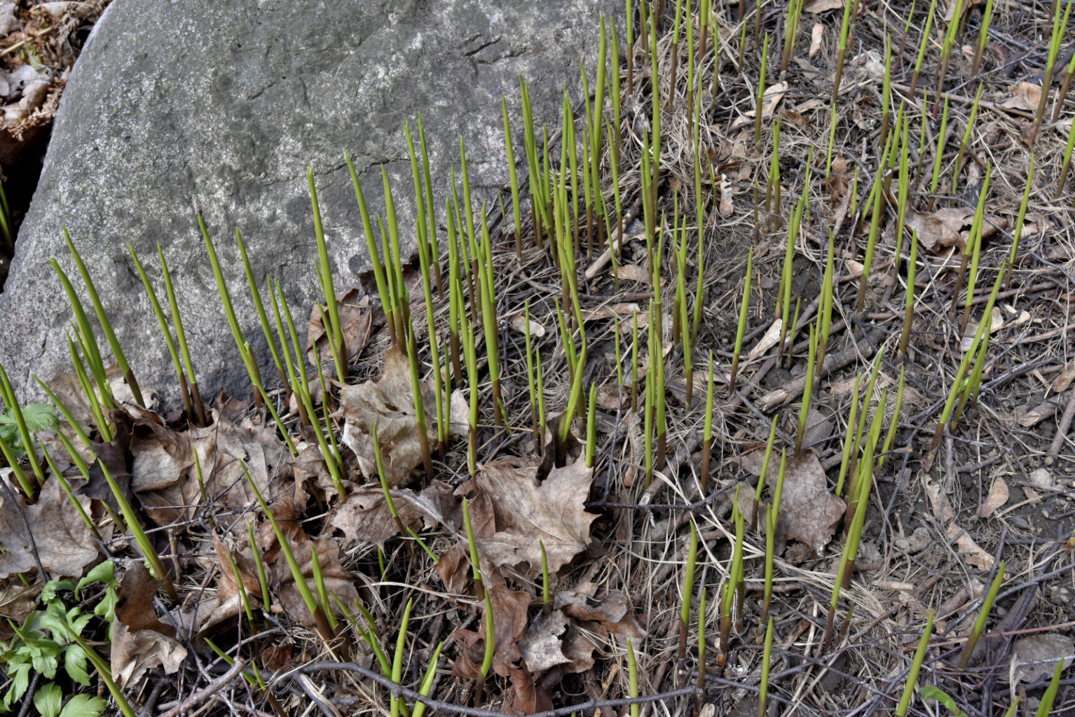 Valokuvaaja: Reijo Juurinen
