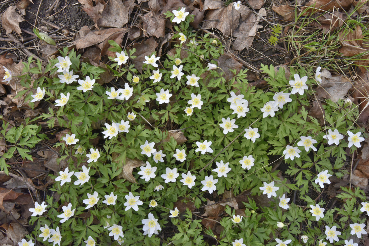 Valokuvaaja: Reijo Juurinen