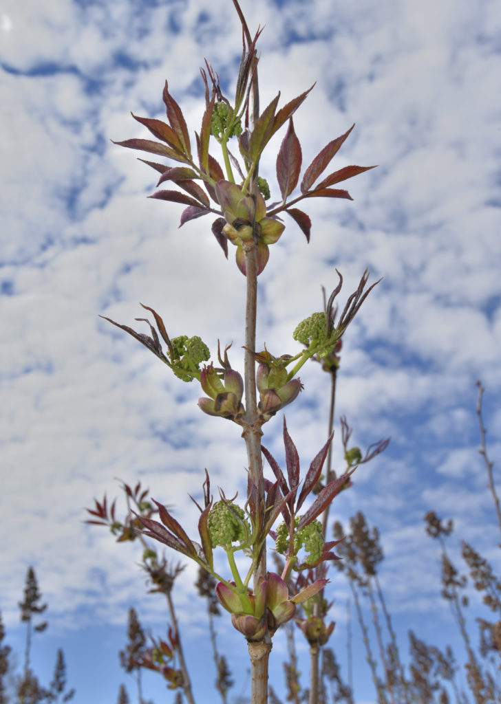 Valokuvaaja: Reijo Juurinen