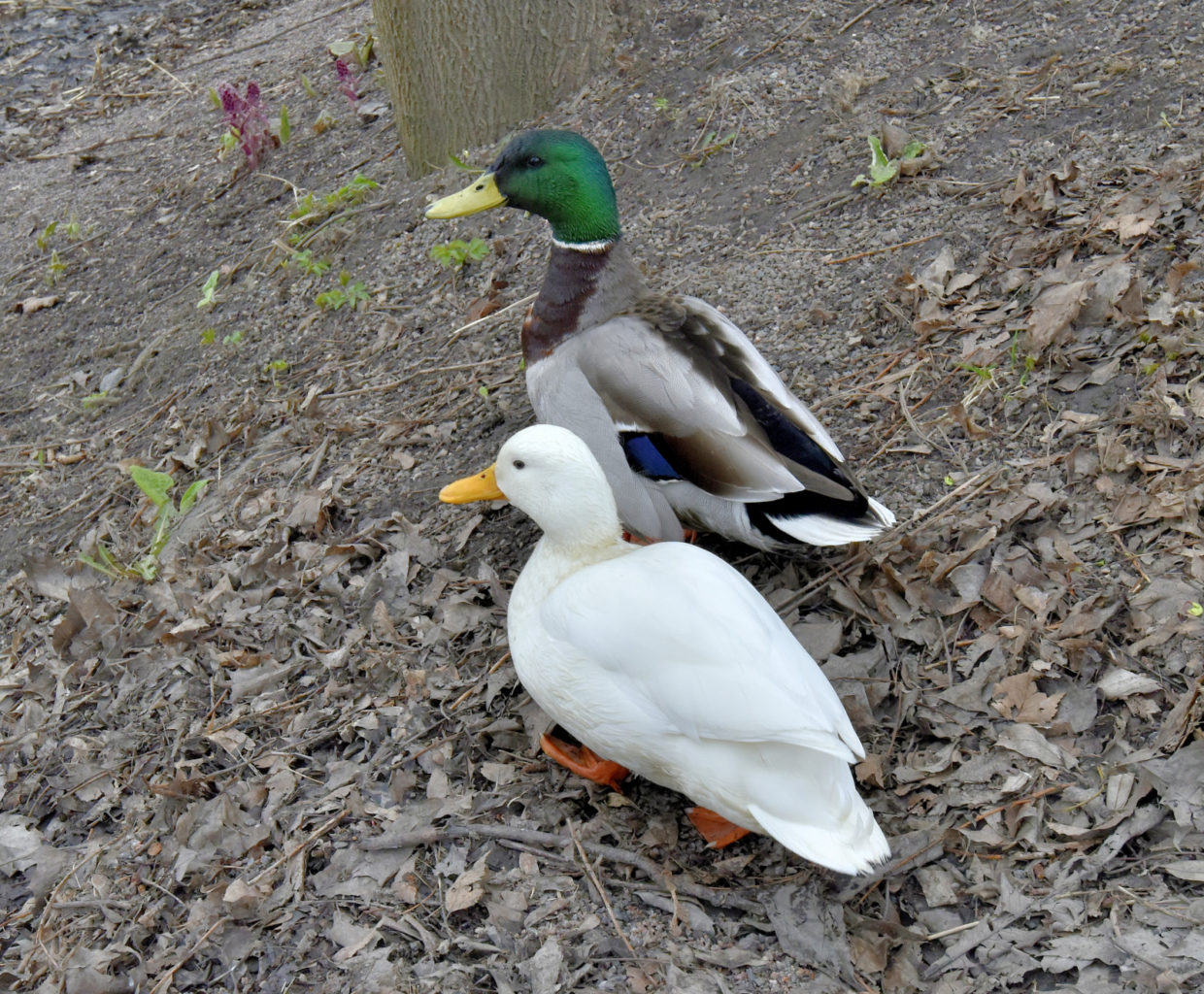 Valokuvaaja: Reijo Juurinen