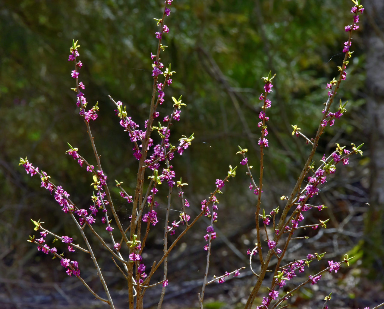 Valokuvaaja: Reijo Juurinen