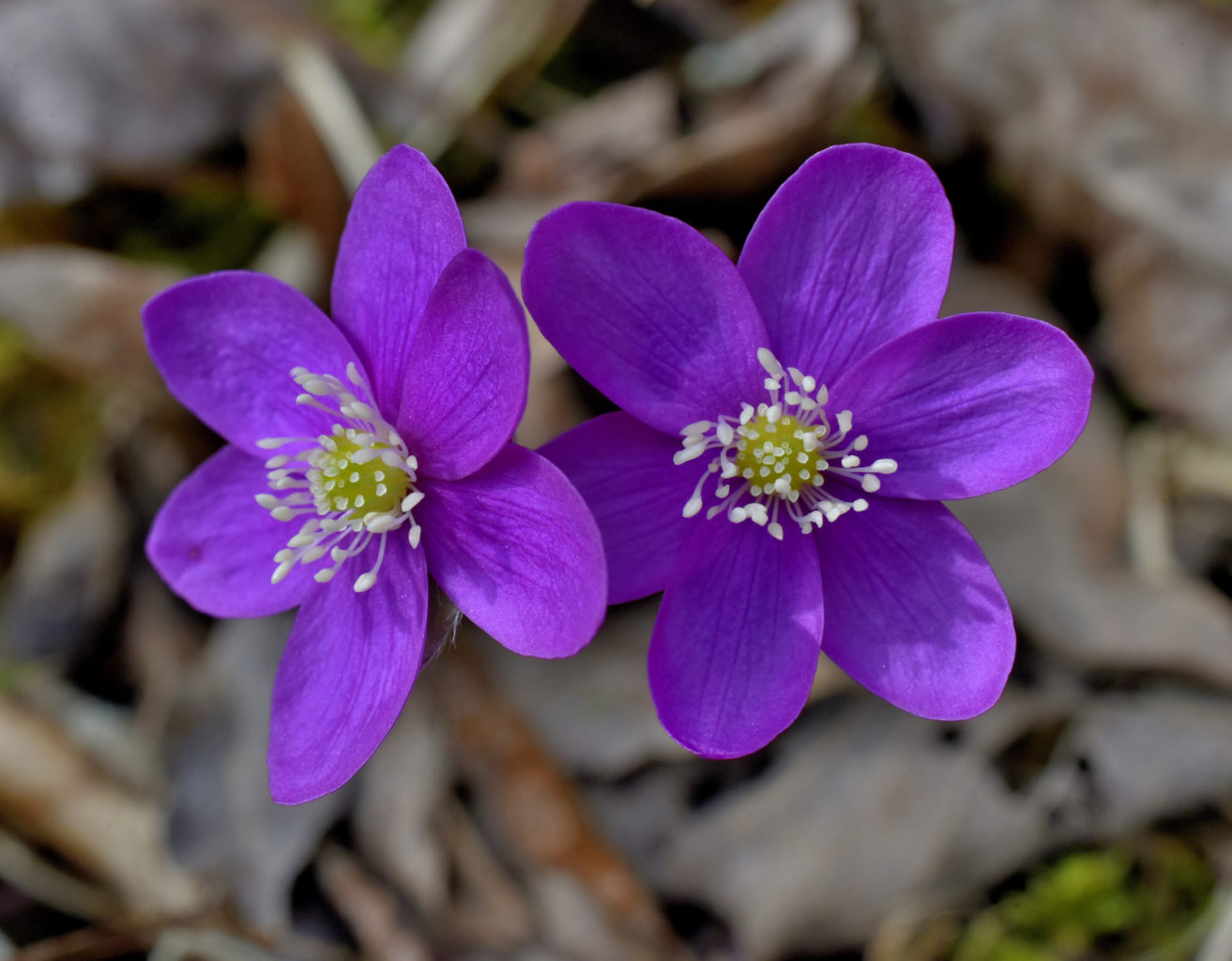 Valokuvaaja: Reijo Juurinen