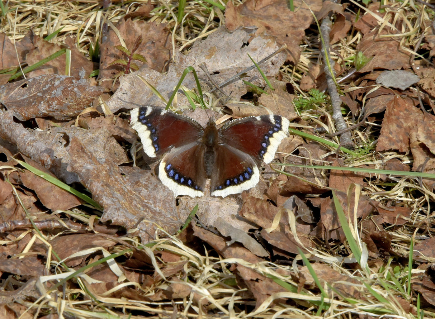 Valokuvaaja: Reijo Juurinen