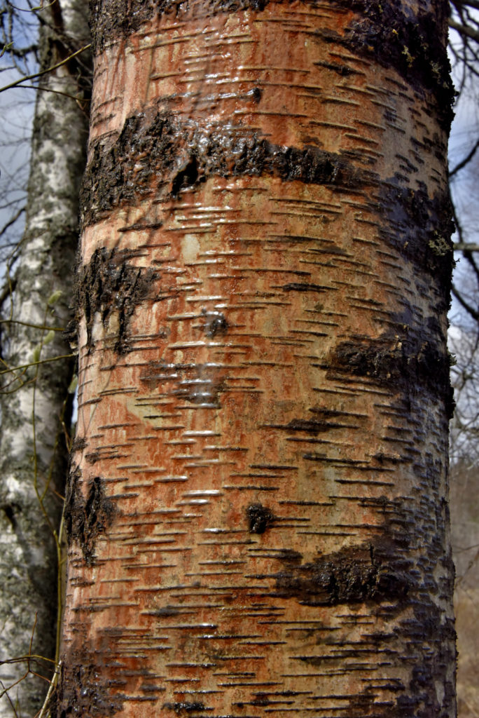 Valokuvaaja: Reijo Juurinen