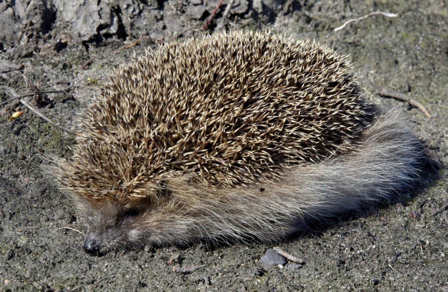 Valokuvaaja: Reijo Juurinen