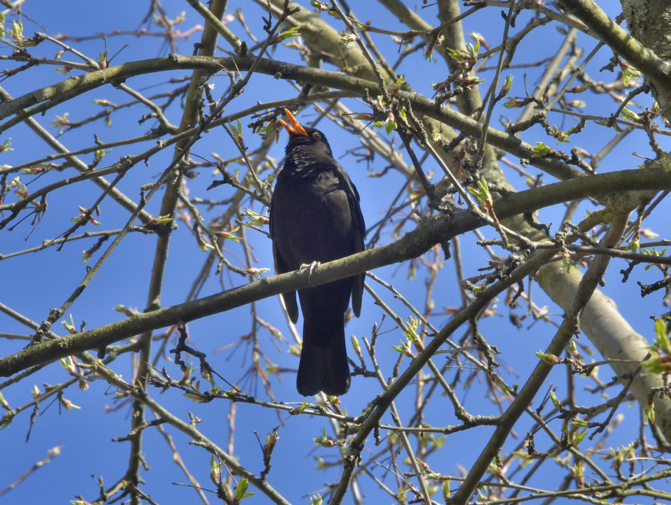Valokuvaaja: Reijo Juurinen