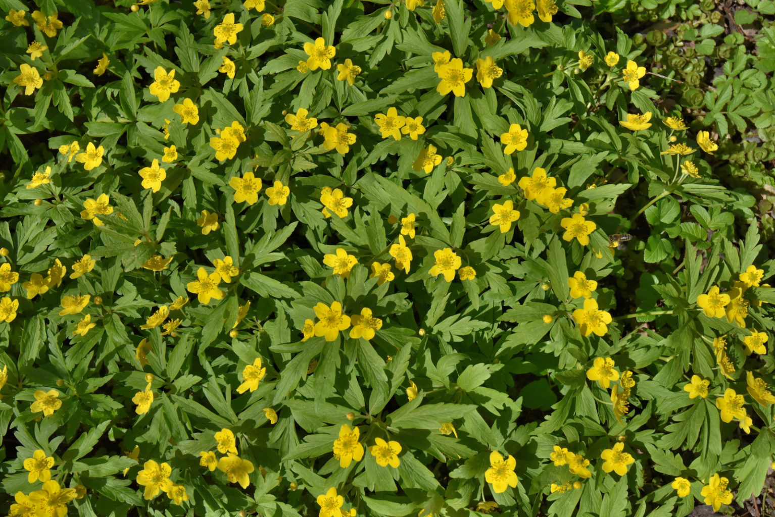 Valokuvaaja: Reijo Juurinen