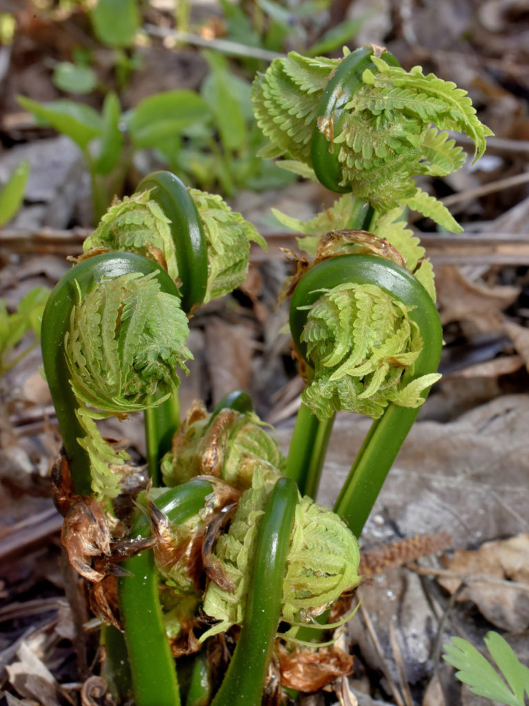 Valokuvaaja: Reijo Juurinen