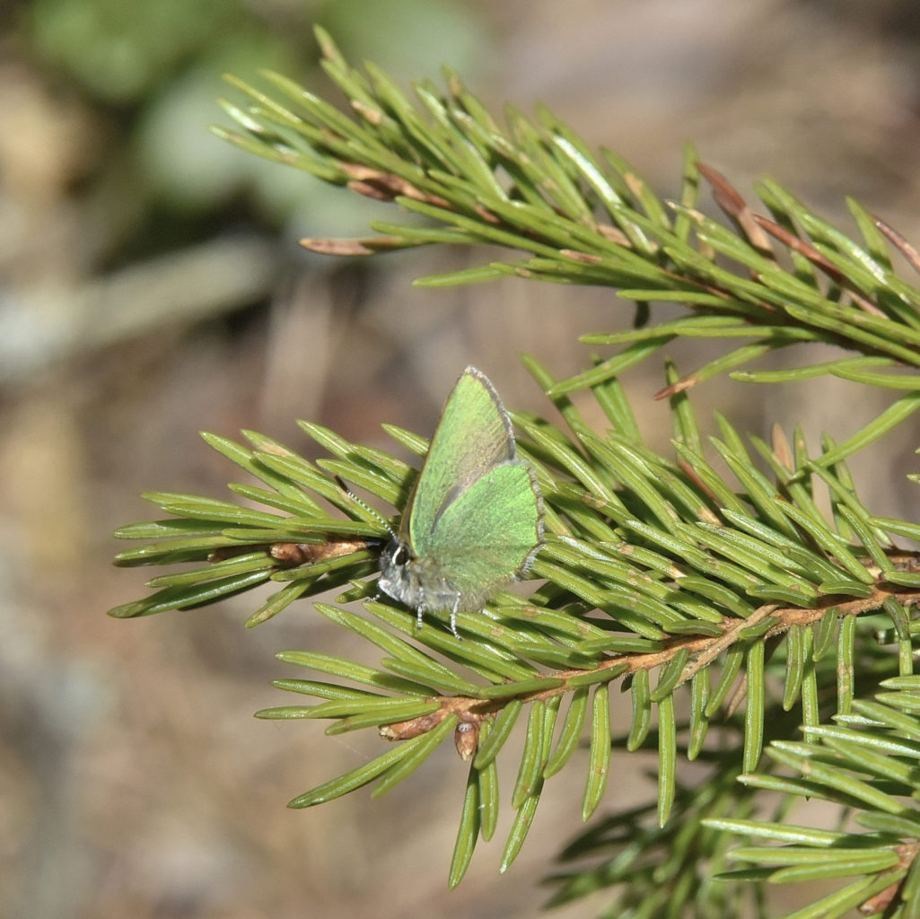 Valokuvaaja: Reijo Juurinen