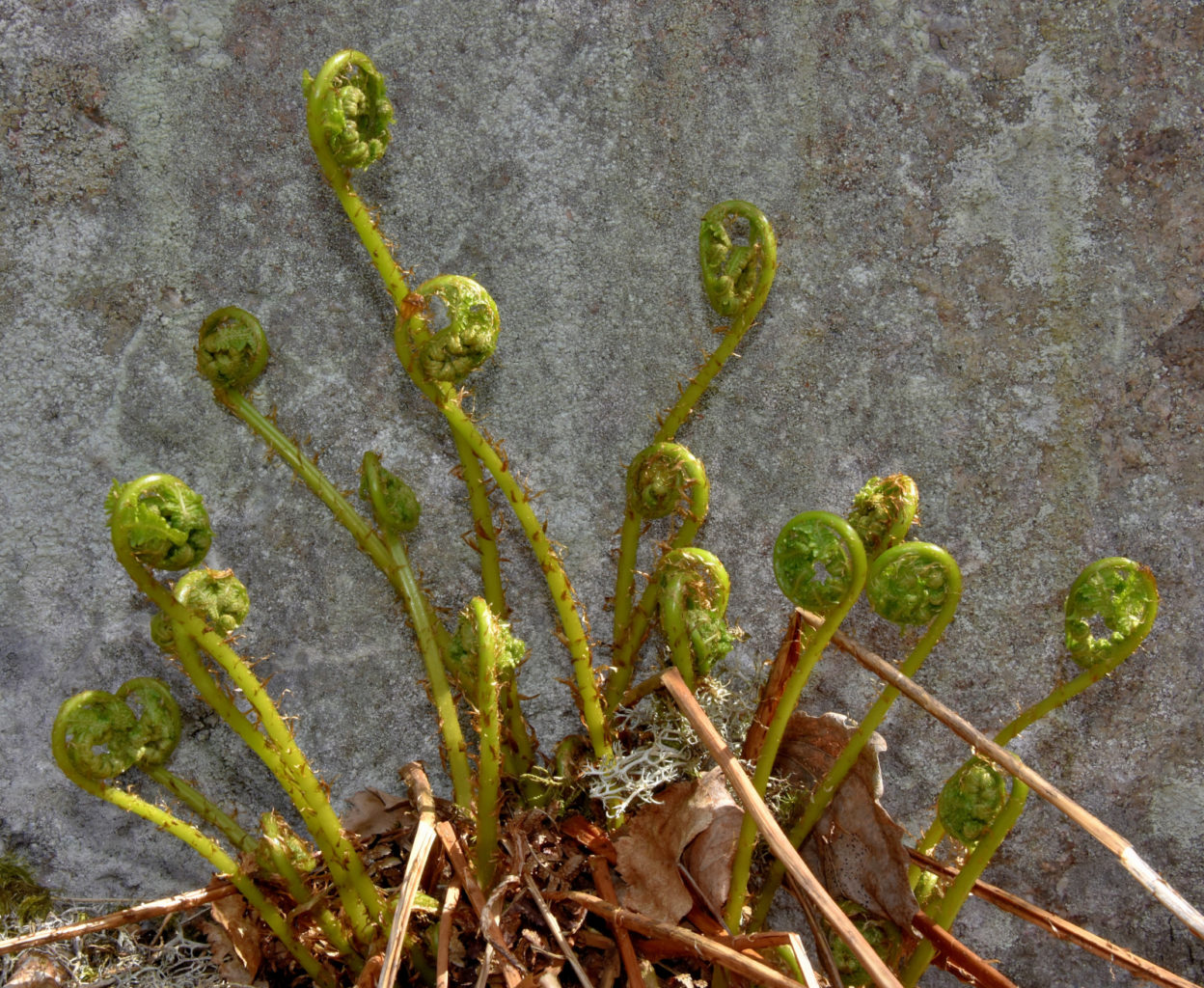 Valokuvaaja: Reijo Juurinen