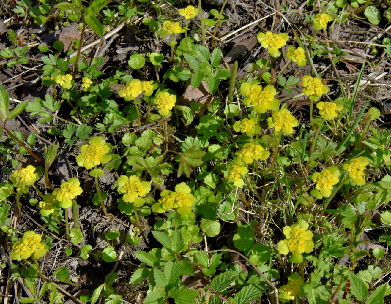 Valokuvaaja: Reijo Juurinen