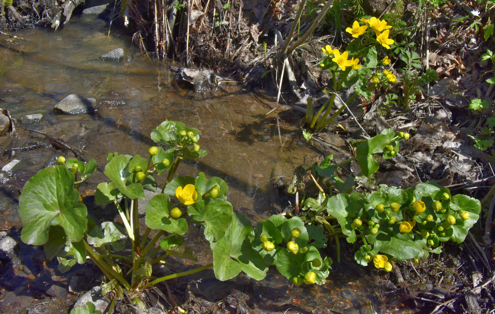 Valokuvaaja: Reijo Juurinen