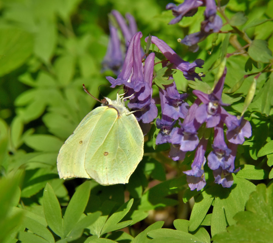 Valokuvaaja: Reijo Juurinen