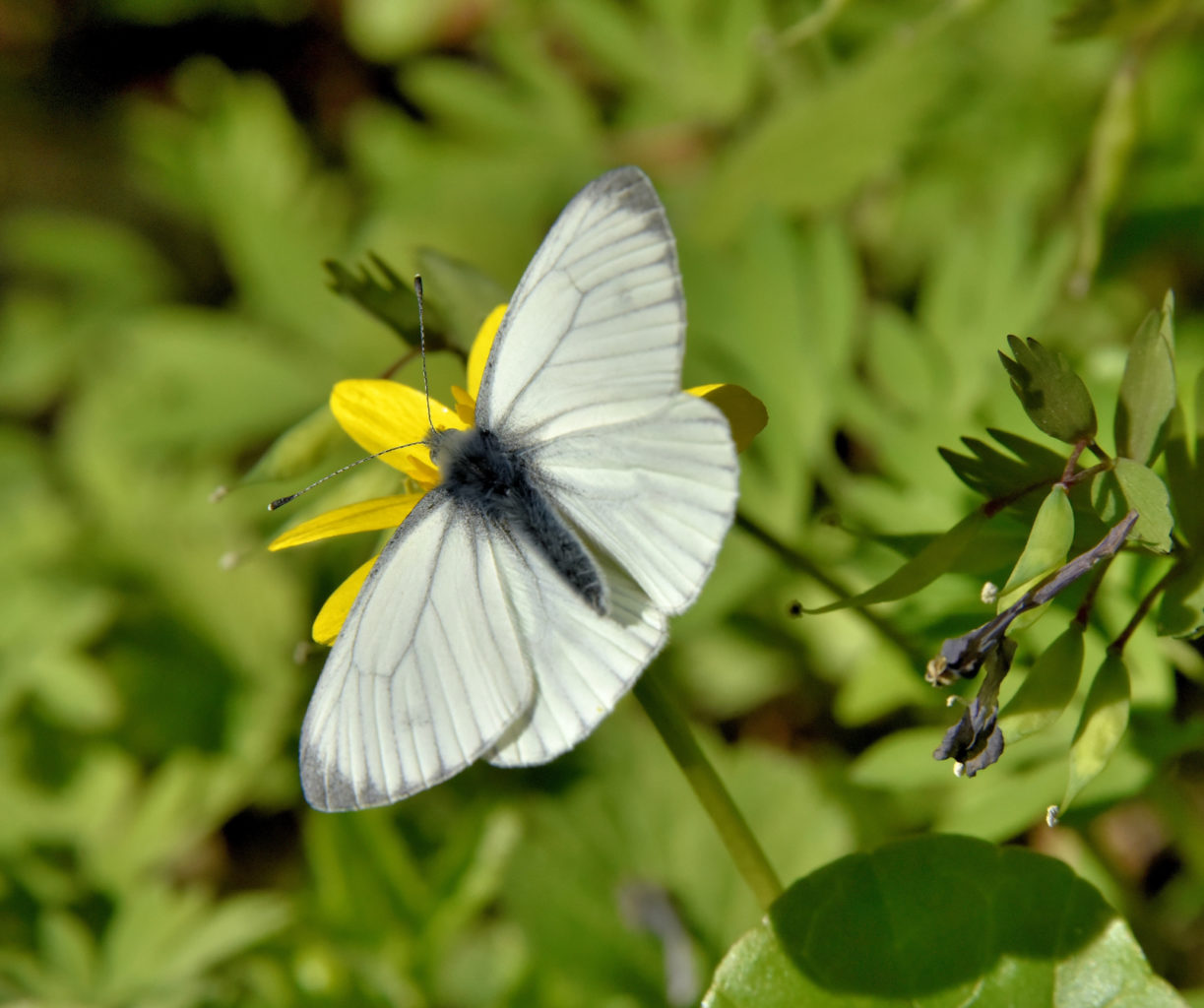 Valokuvaaja: Reijo Juurinen