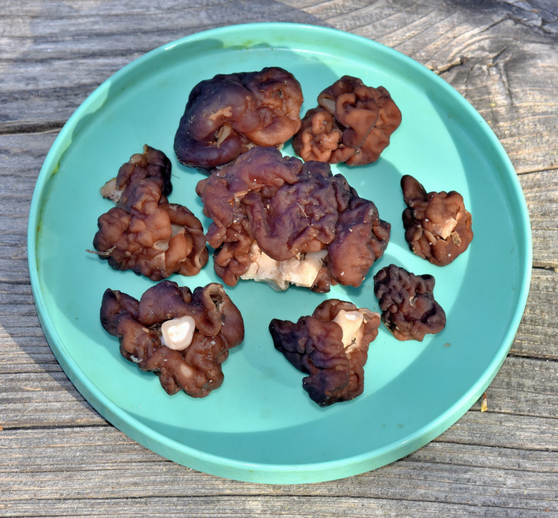 Valokuvaaja: Reijo Juurinen