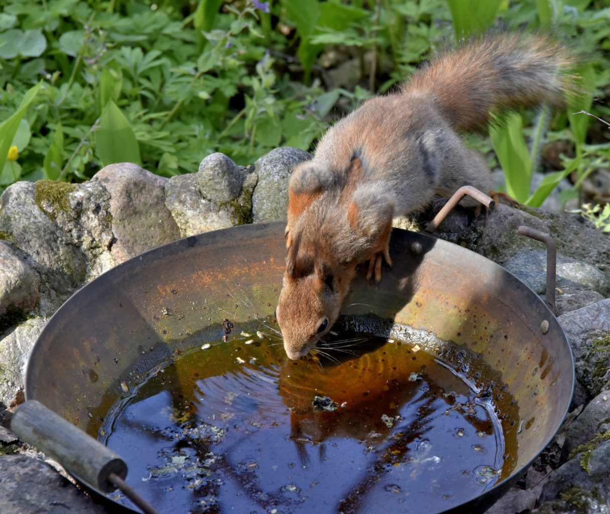 Valokuvaaja: Reijo Juurinen