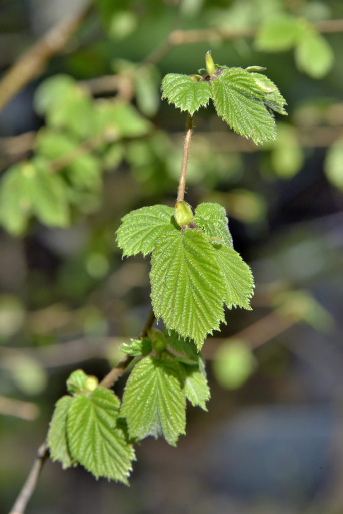 Valokuvaaja: Reijo Juurinen