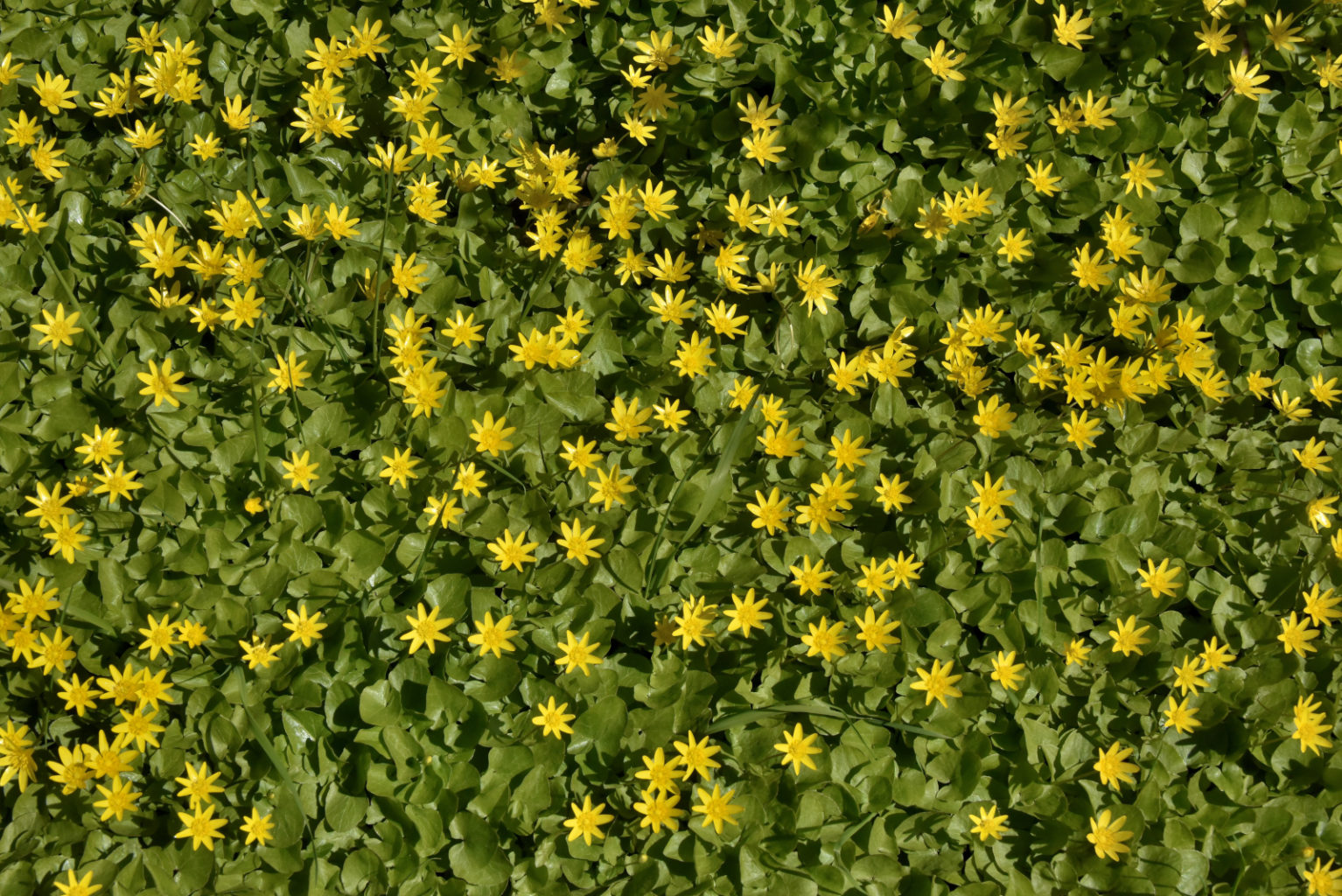 Valokuvaaja: Reijo Juurinen