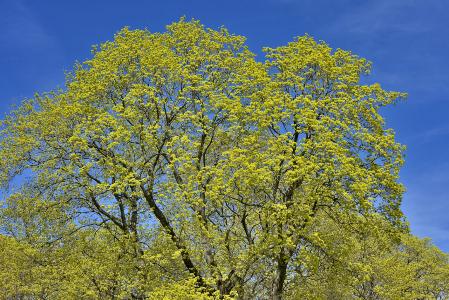 Valokuvaaja: Reijo Juurinen