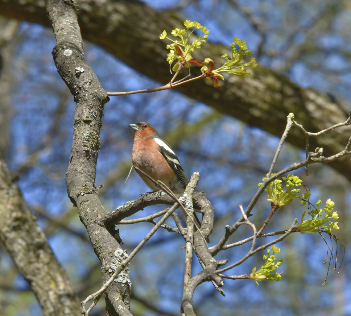 Valokuvaaja: Reijo Juurinen Valokuvaaja: Reijo Juurinen