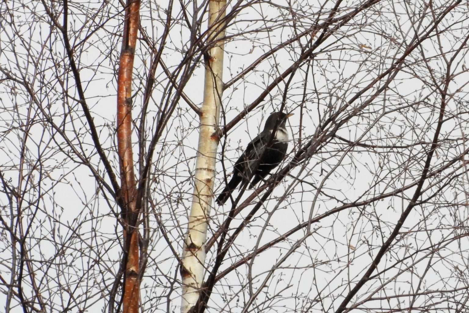 Valokuvaaja: Sirkka Perttu