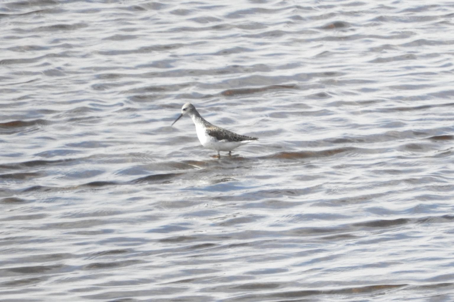 Valokuvaaja: Sirkka Perttu