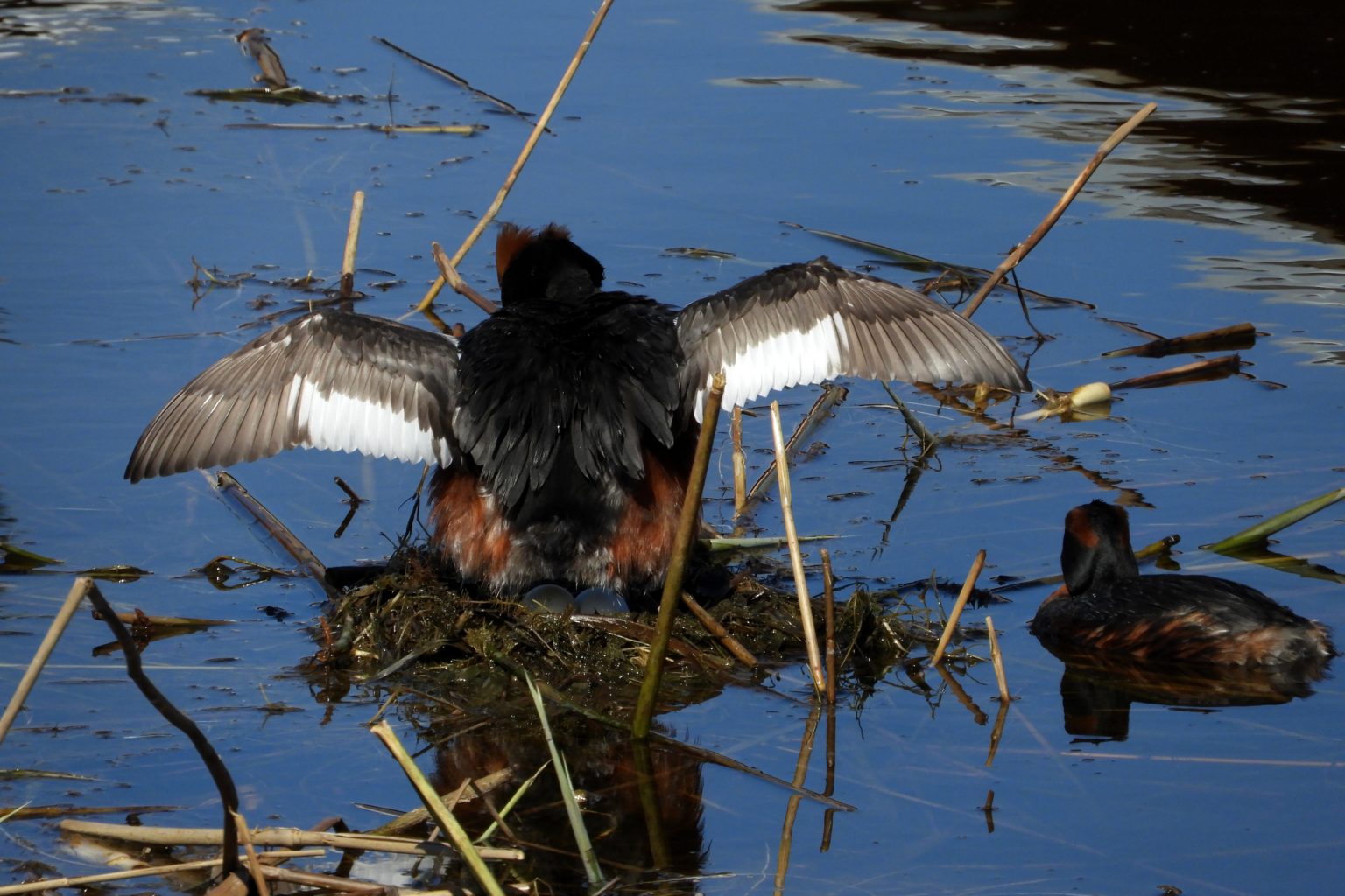 Valokuvaaja: Sirkka Perttu