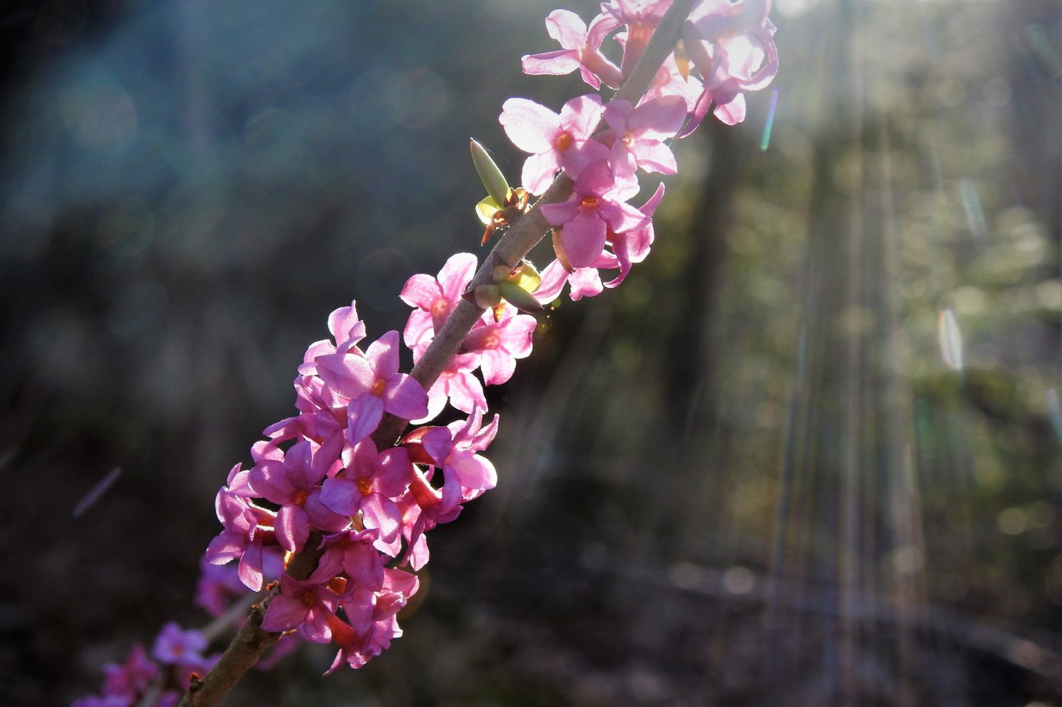 Valokuvaaja: Maarit Siitonen