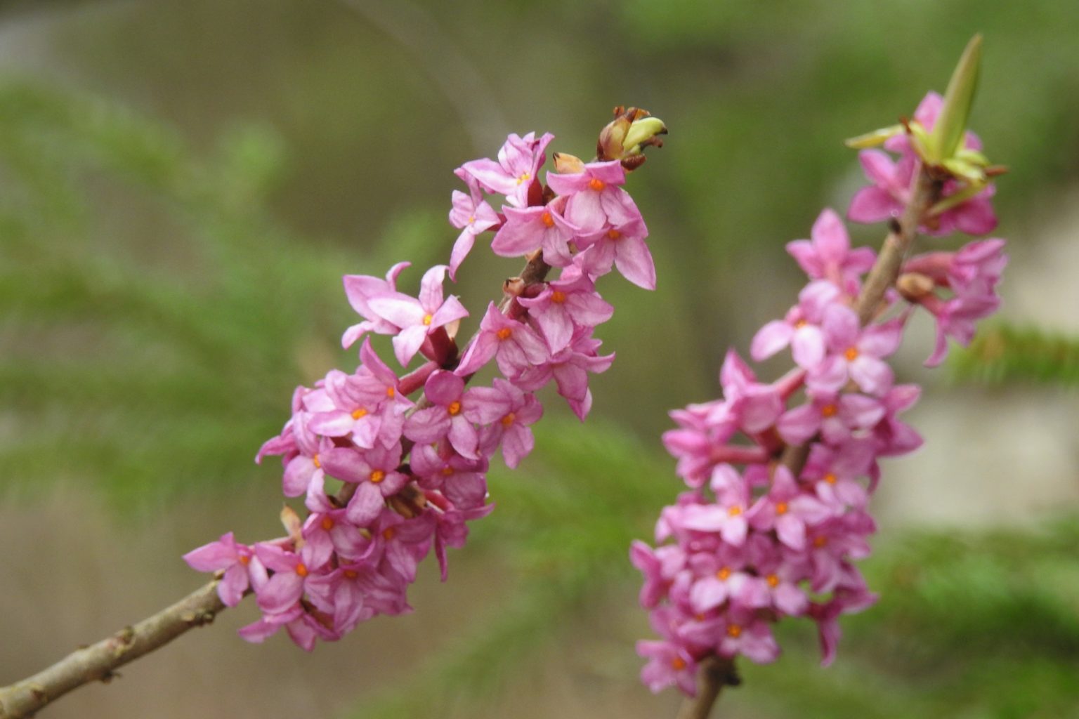 Valokuvaaja: Maarit Siitonen