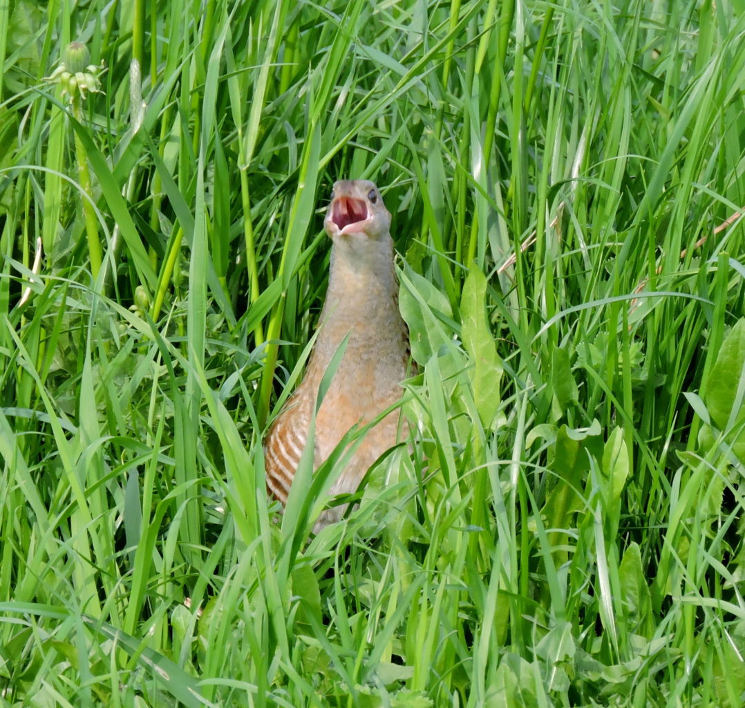Valokuvaaja: Annikki Kärkkäinen