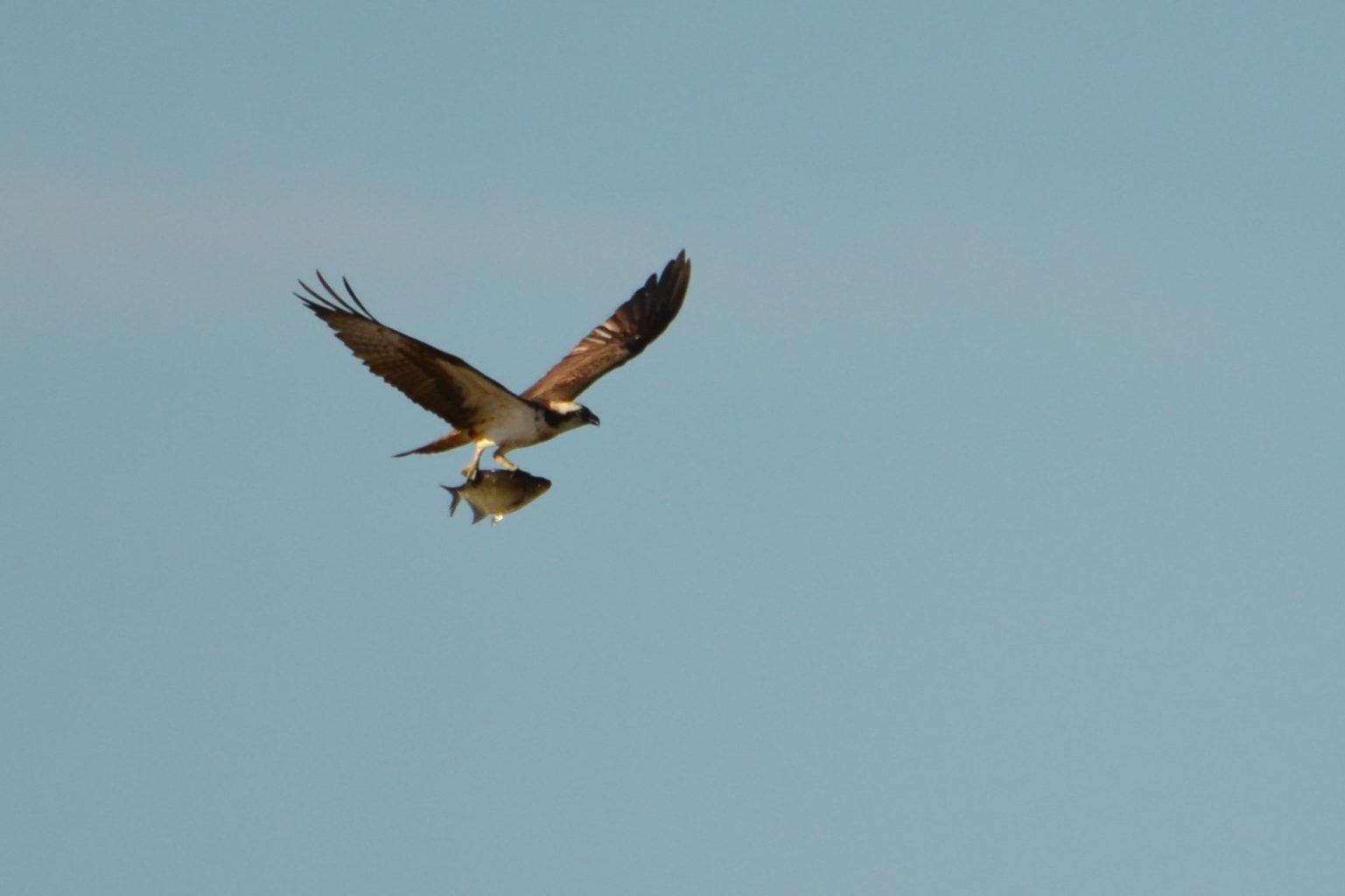 Valokuvaaja: Leena Latvala