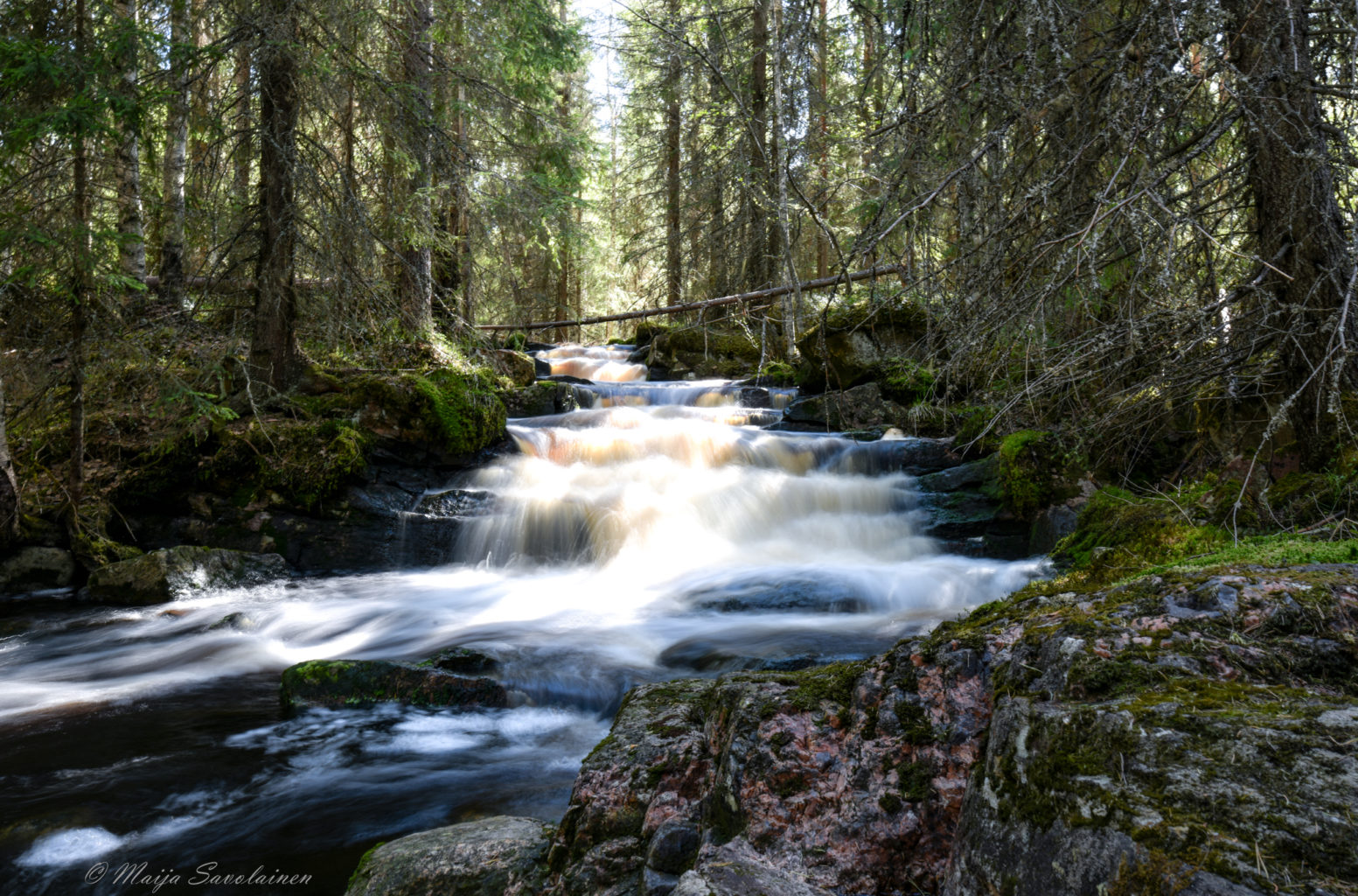 Valokuvaaja: Maija Savolainen