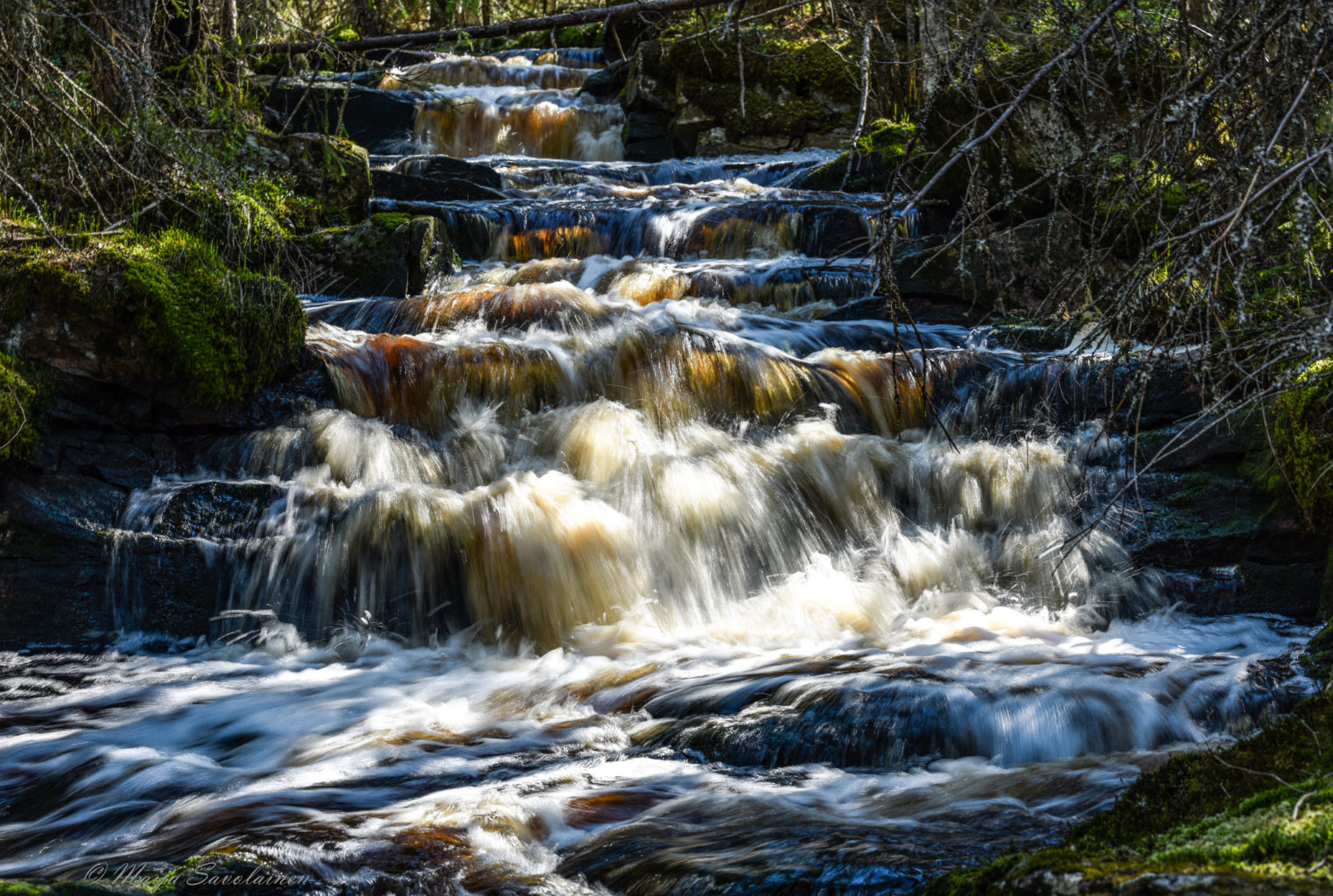 Valokuvaaja: Maija Savolainen Valokuvaaja: Maija Savolainen