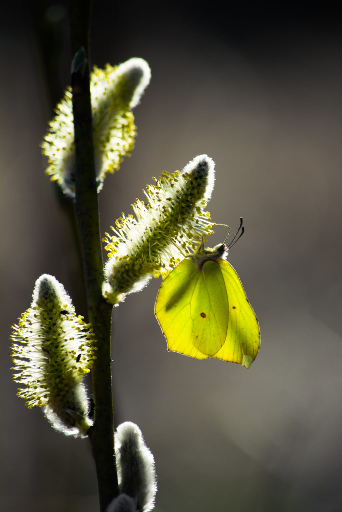 Valokuvaaja: Riikka Tuomi