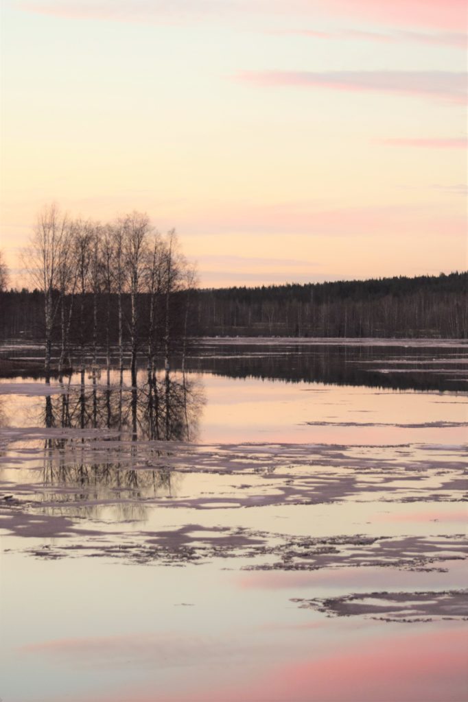 Valokuvaaja: Leena Rissanen